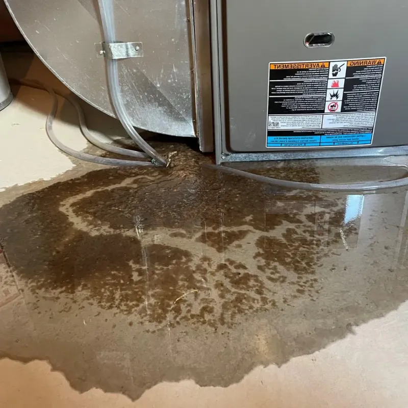 Pipe Burst and Leak Restoration in Deer Lodge County, MT